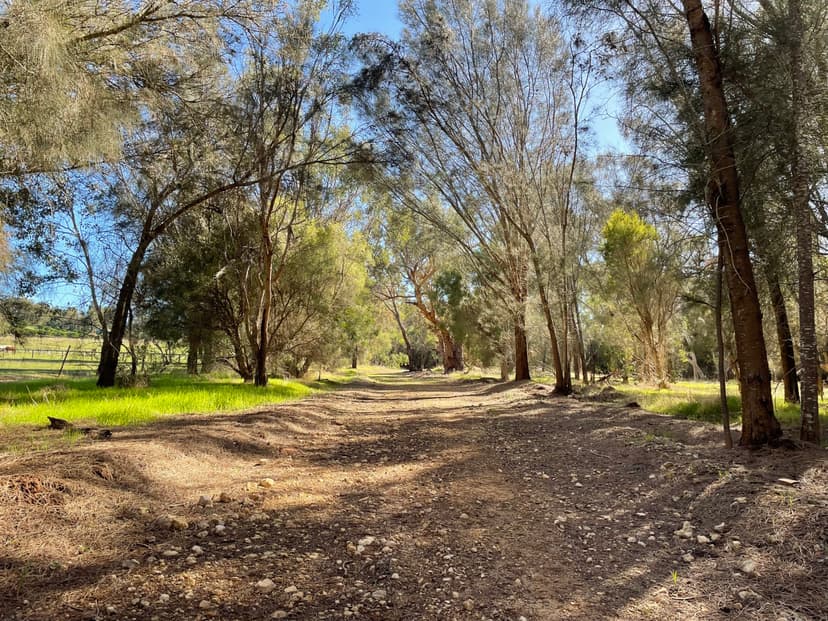Couple hiking through a scenic trail in the Perth hills